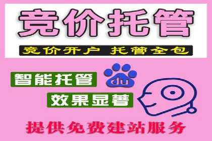 行业领先企业的SEM代理案例剖析